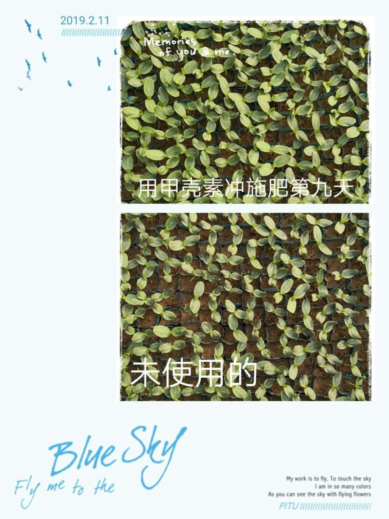 甲壳素水溶肥，甲壳素液体地膜。