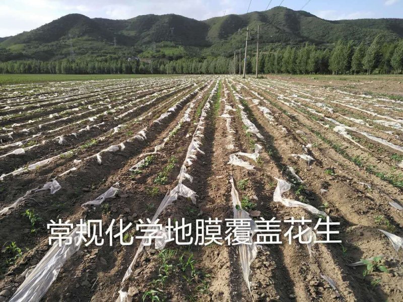 甲壳素水溶肥，甲壳素液体地膜。