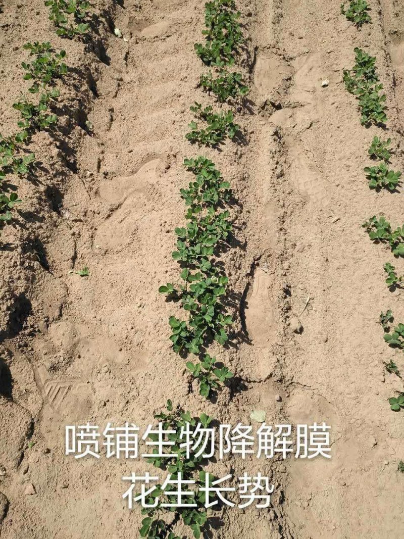 甲壳素水溶肥，甲壳素液体地膜。