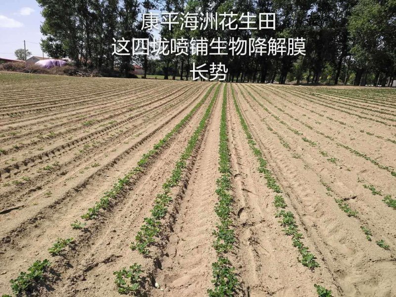 甲壳素水溶肥，甲壳素液体地膜。