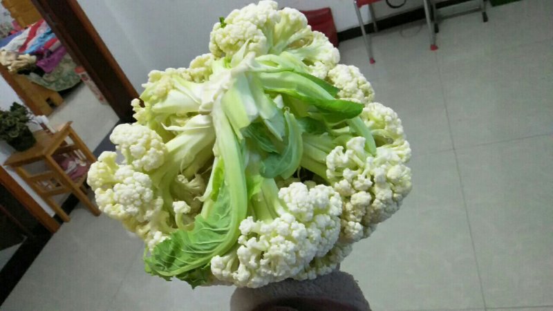 青梗菜花