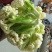 青梗菜花