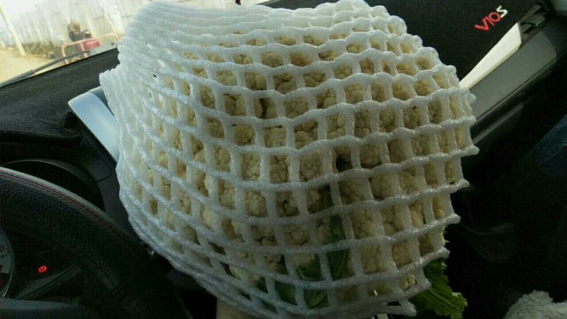 青梗菜花