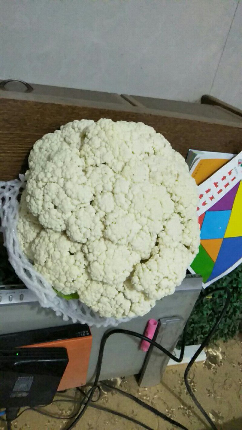 青梗菜花