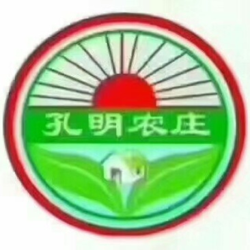 供高油酸花生种子