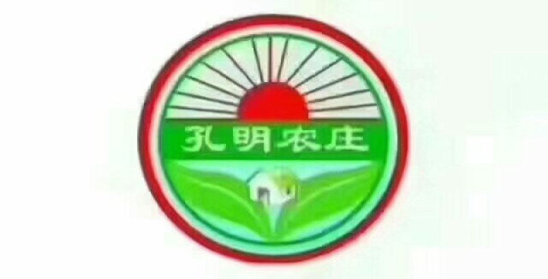 供高油酸花生种子