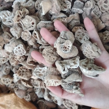 藕节无硫