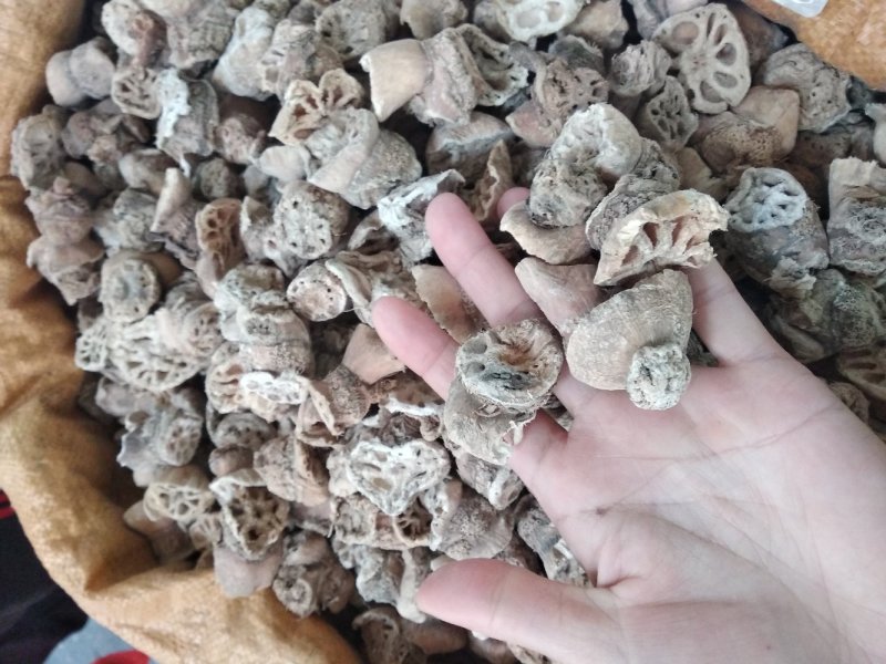 藕节无硫