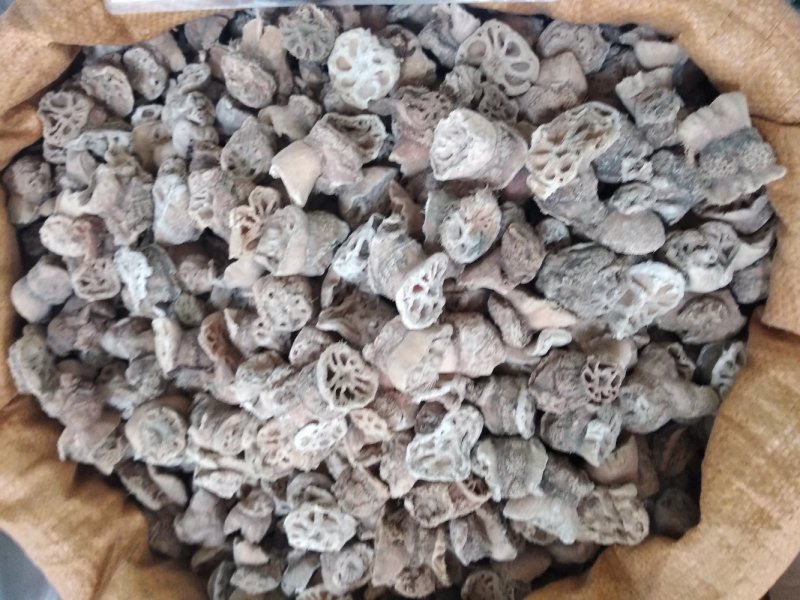 藕节无硫