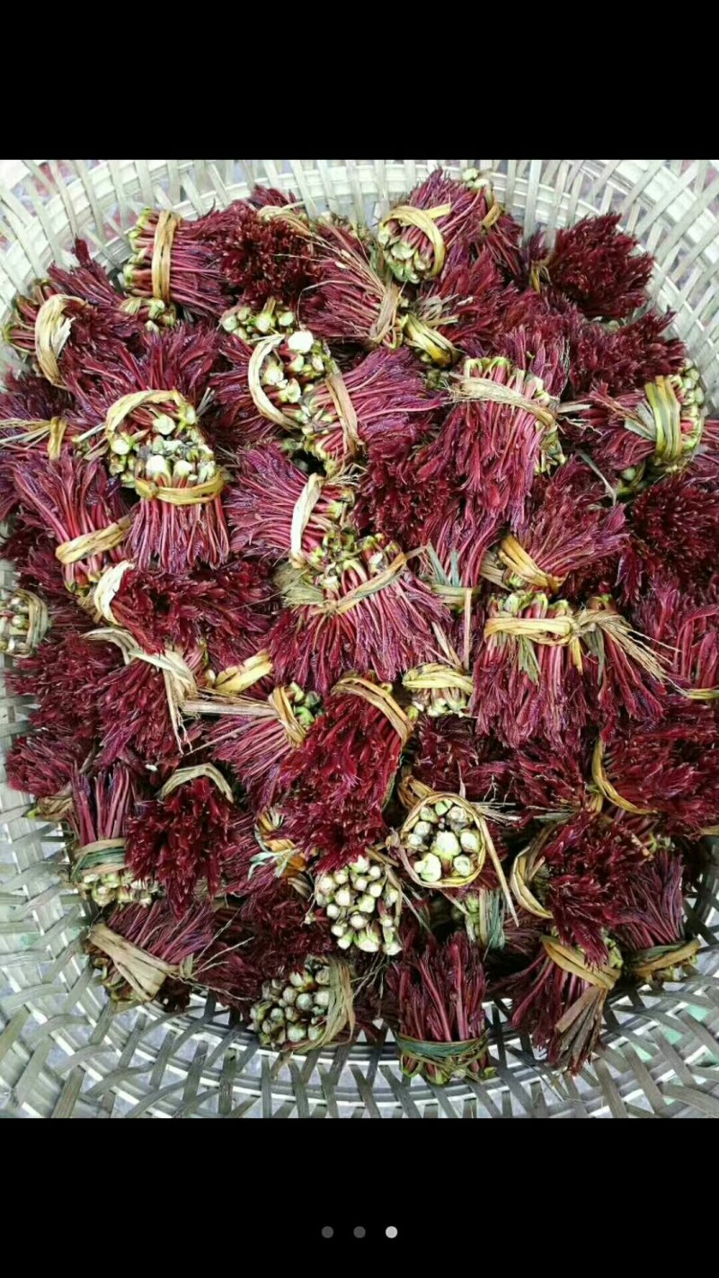 野生红油香椿芽