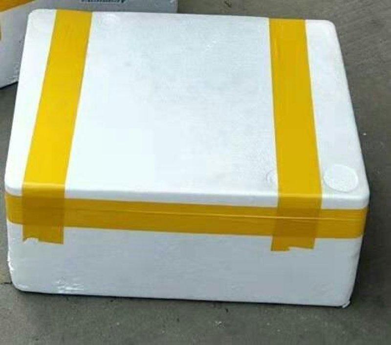 巴山红油香椿芽，15公分以下，