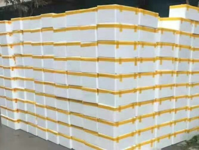 巴山红油香椿芽，15公分以下，