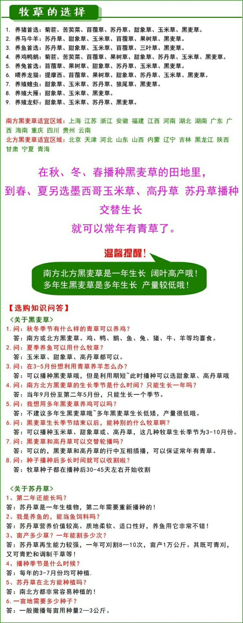 牧草种子95%以上品种优质粒粒精选欢迎来电咨询