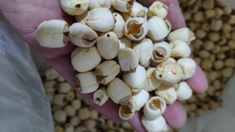 建宁莲子建莲100%手工通芯