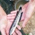 【黑鱼鱼苗】黑鱼鱼苗本地乌鱼苗人工养殖