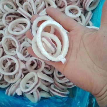 鱿鱼圈