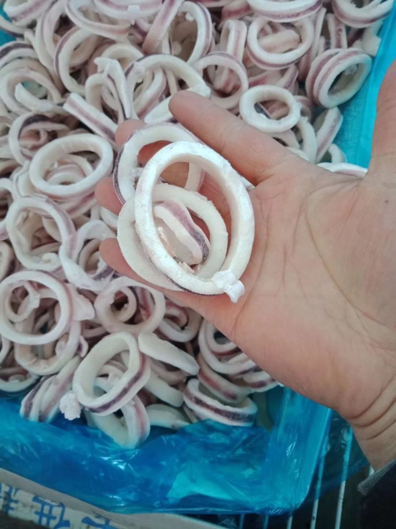 鱿鱼圈