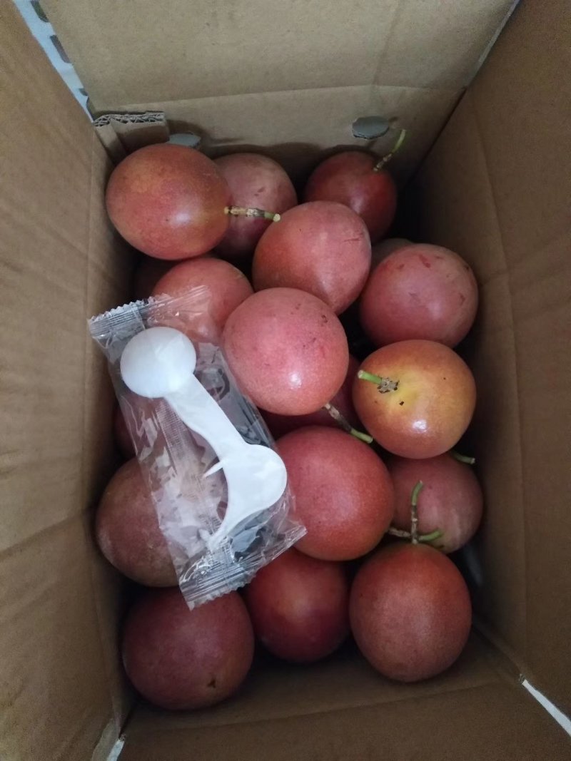 赣南百香果产地直发，支持一件代发，橙招代理