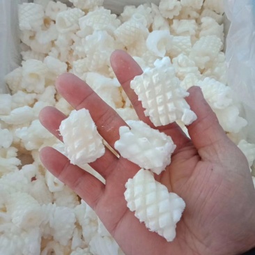 鱿鱼花