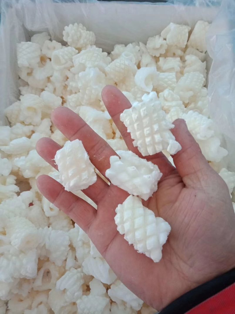鱿鱼花