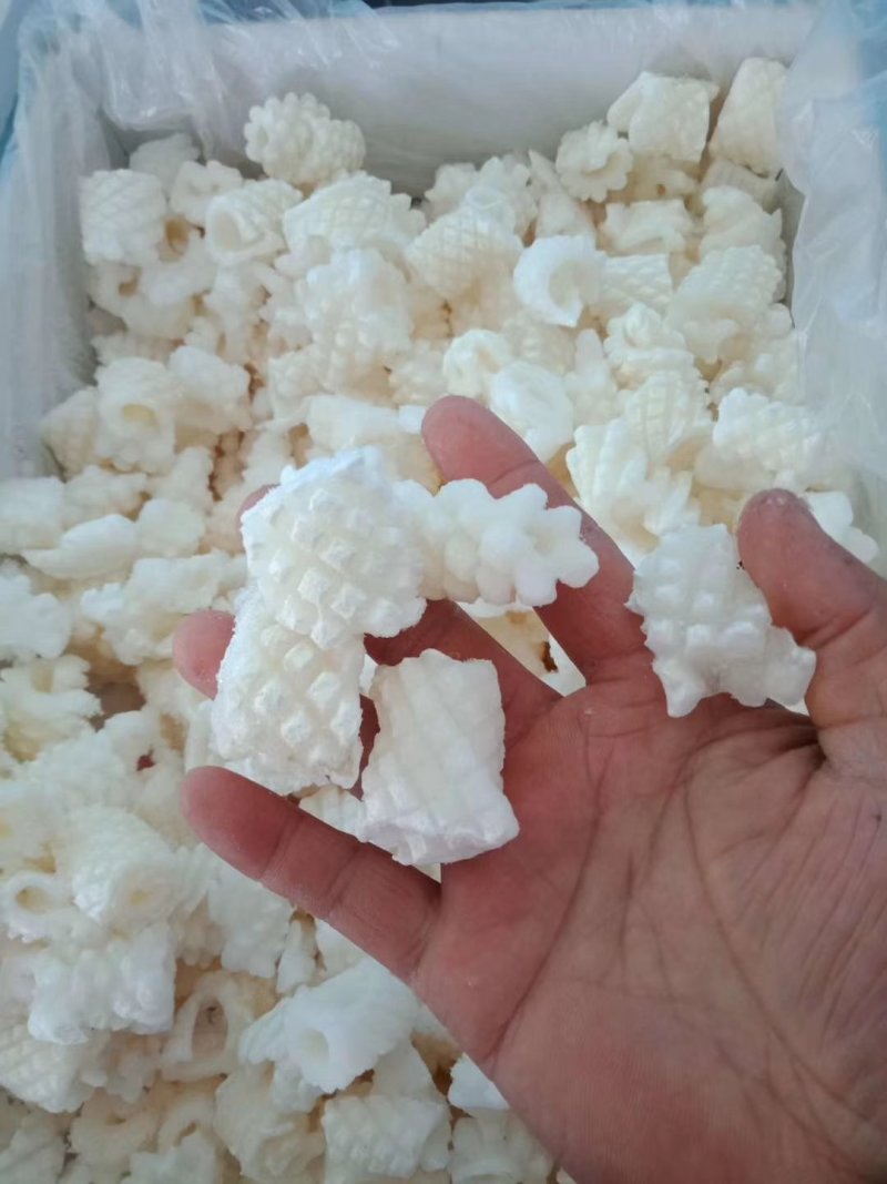鱿鱼花