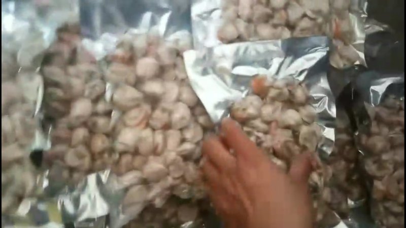 扇贝肉7斤装