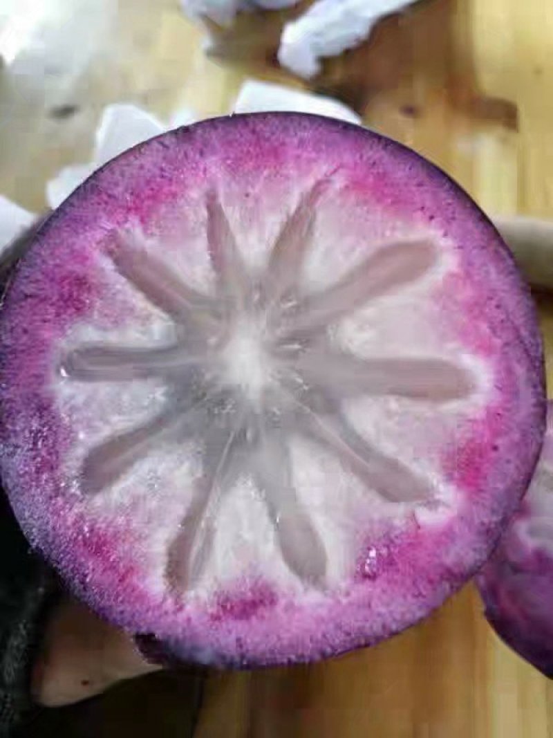 越南牛奶果苗嫁接苗包邮