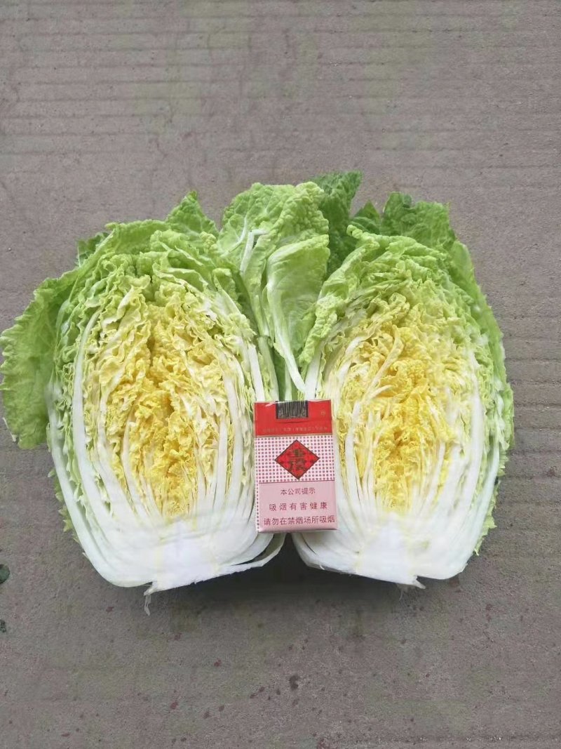 兰陵县黄心白菜，白菜，基地一手货源，充足7斤以上毛菜，