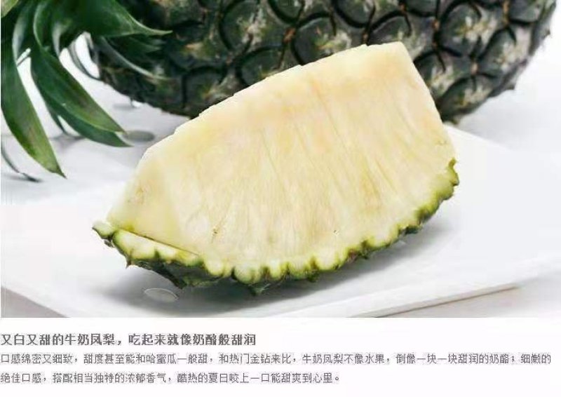 无眼菠萝