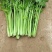 芹菜【河南开封通许万亩基地直供高质量高标准】
