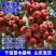山楂树苗南方北方种植甜红子树苗庭院甜山楂当年结果嫁接果