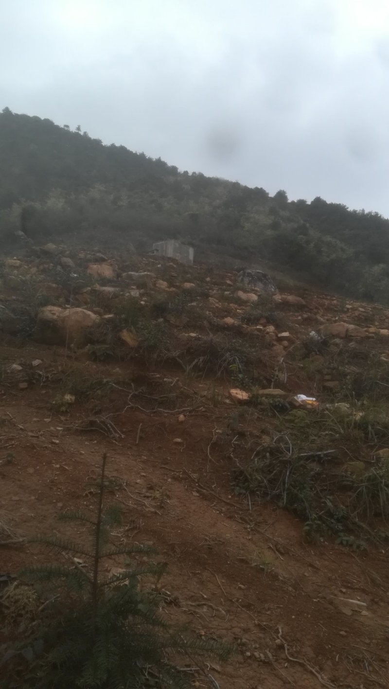 2年沃甘基地～10-24亩～
