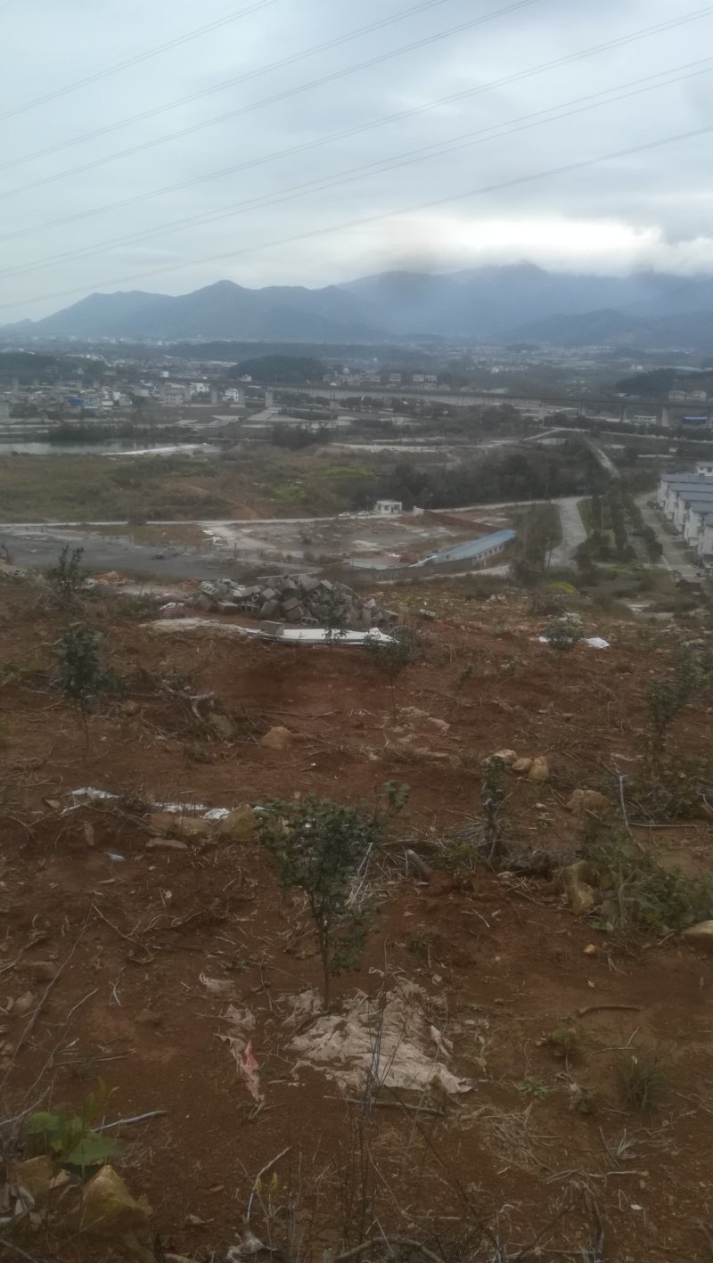 2年沃甘基地～10-24亩～