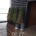 花叶络石四季常青爬藤植物2.58一株