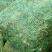 【HOT】黄花菜种苗，基地现挖现卖，后期提供管理技术支持