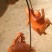 鸡