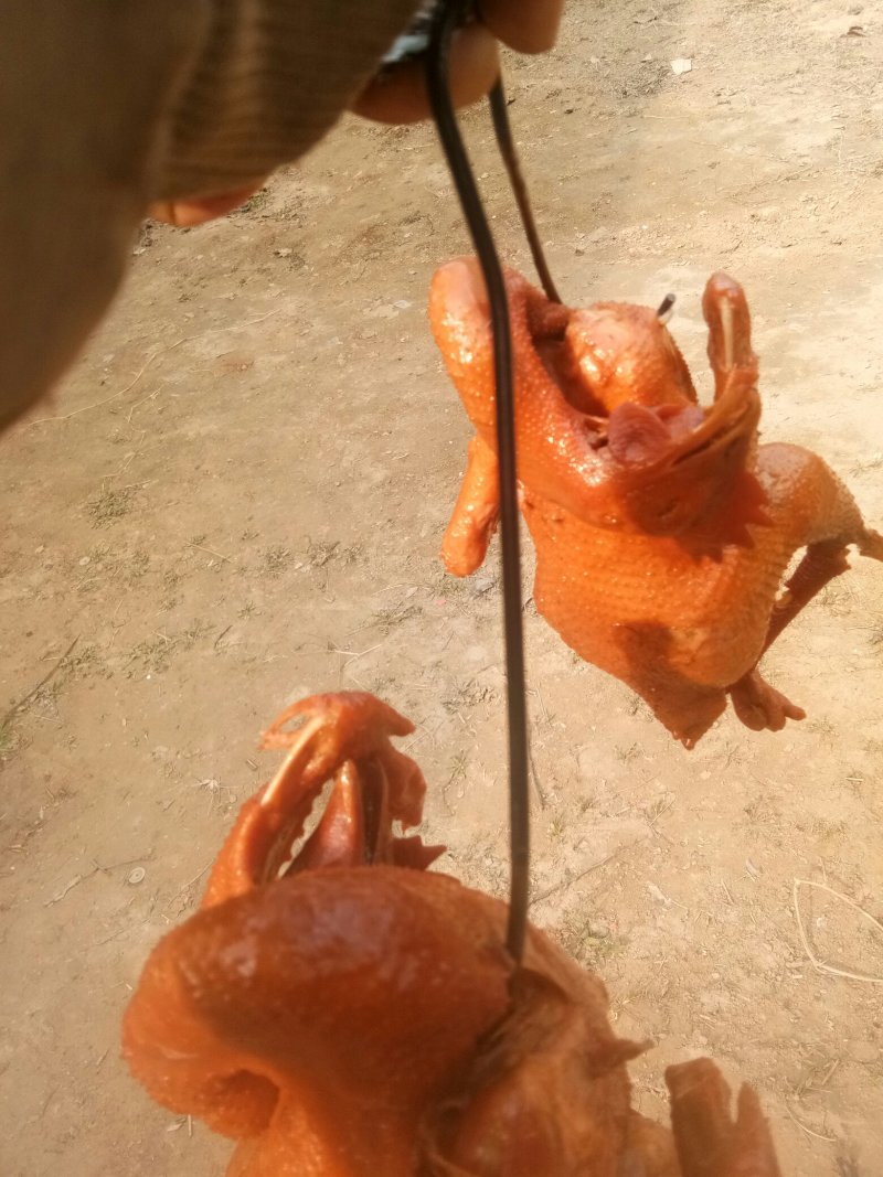 鸡