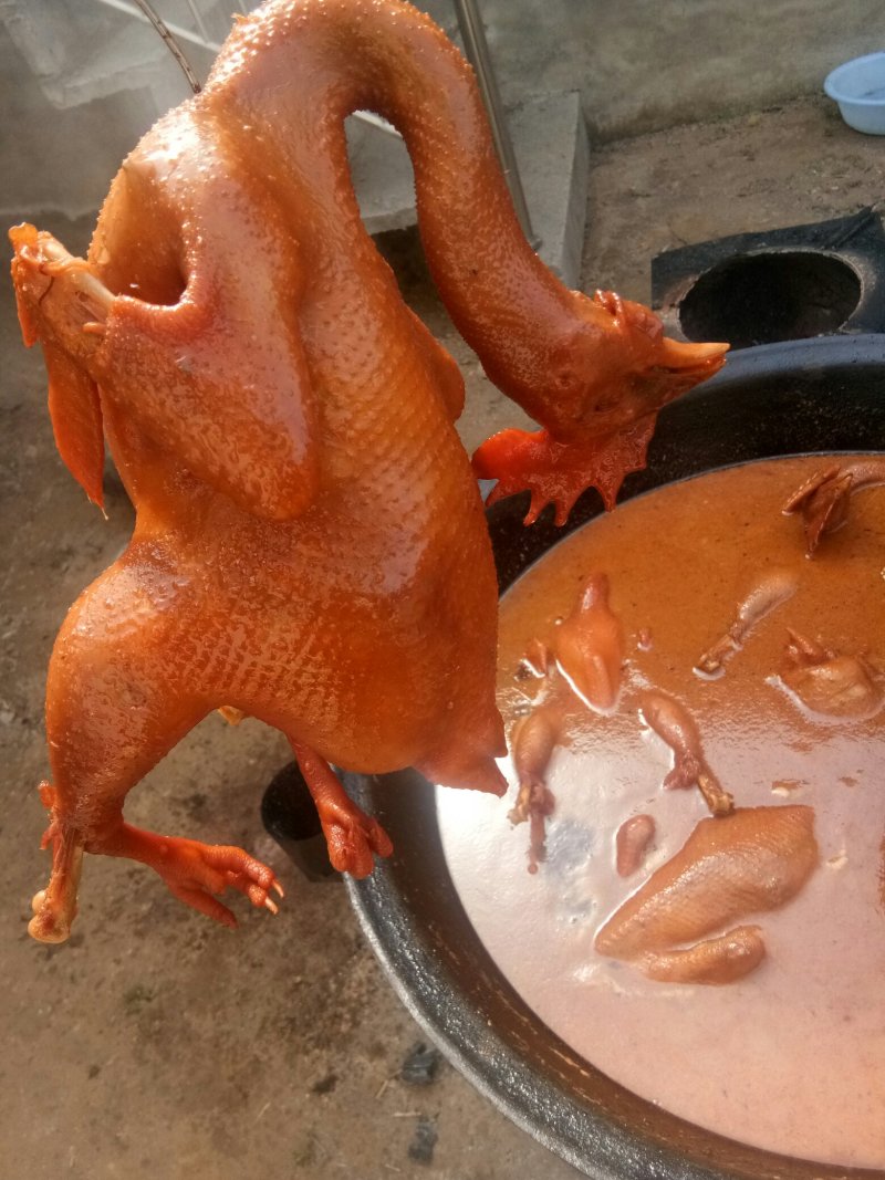 鸡