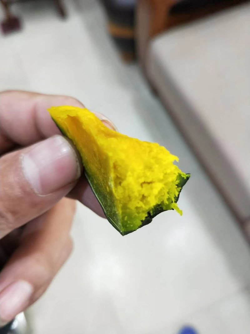 大量出售各种西瓜南瓜苗！