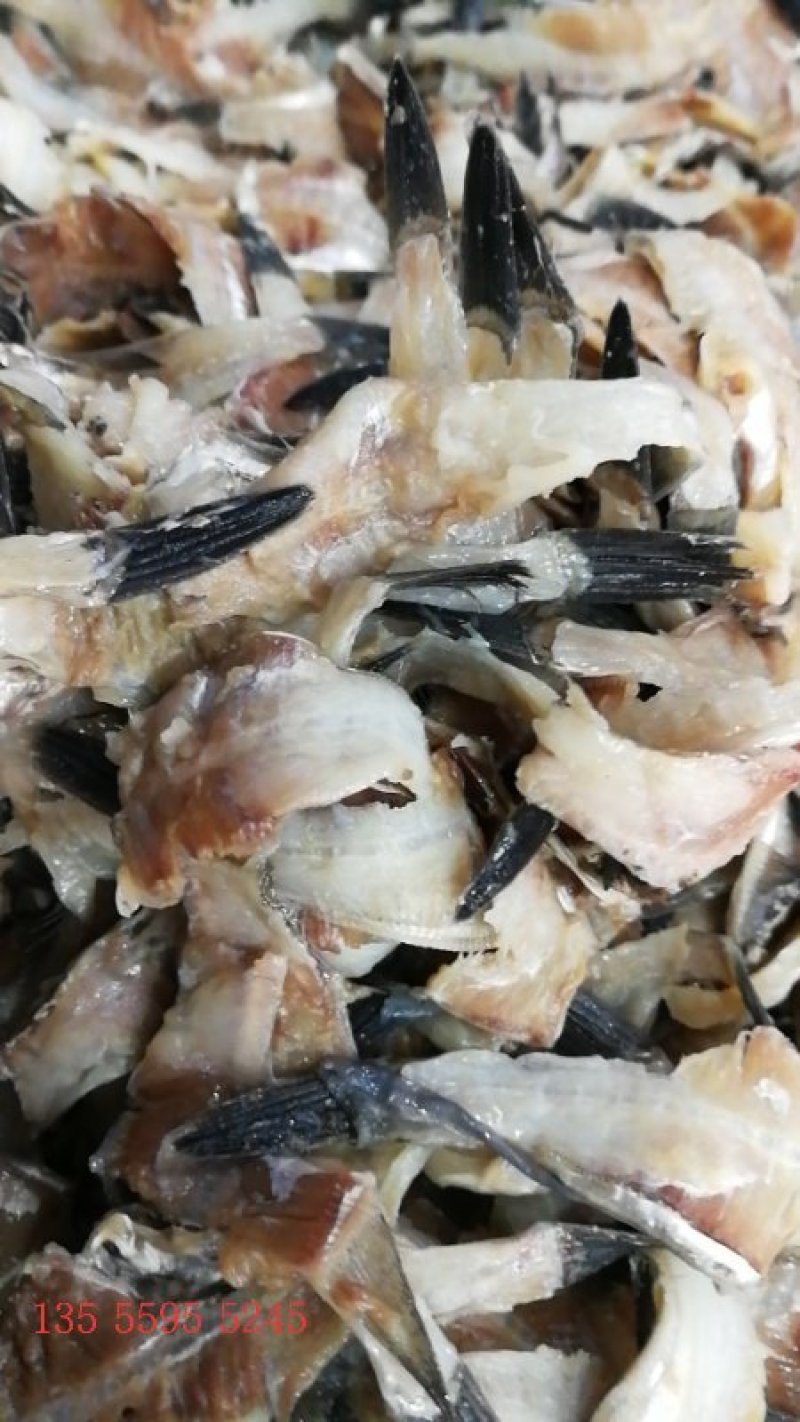 饲料