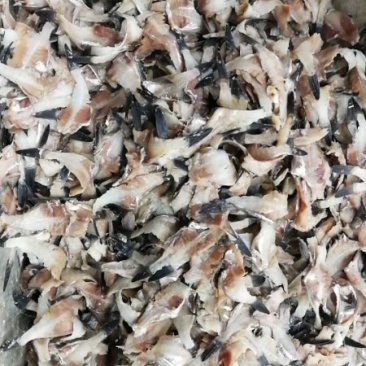 饲料