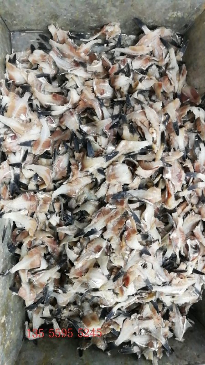 饲料