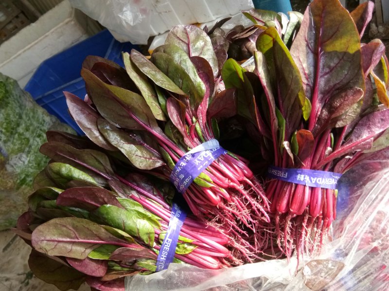红菠菜，大量批发野菜特菜
