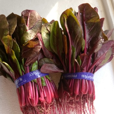 红菠菜，大量批发野菜特菜