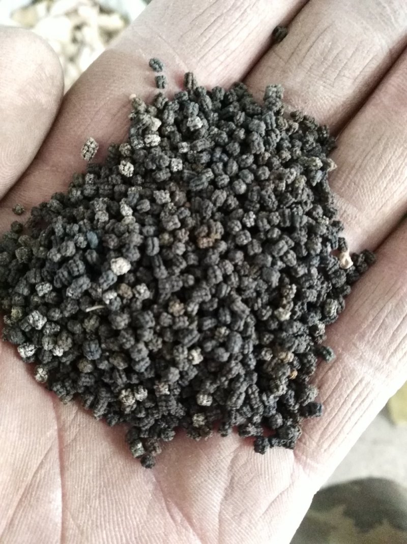 蚕沙蚕粪原蚕屎晚蚕沙山东产量大优惠