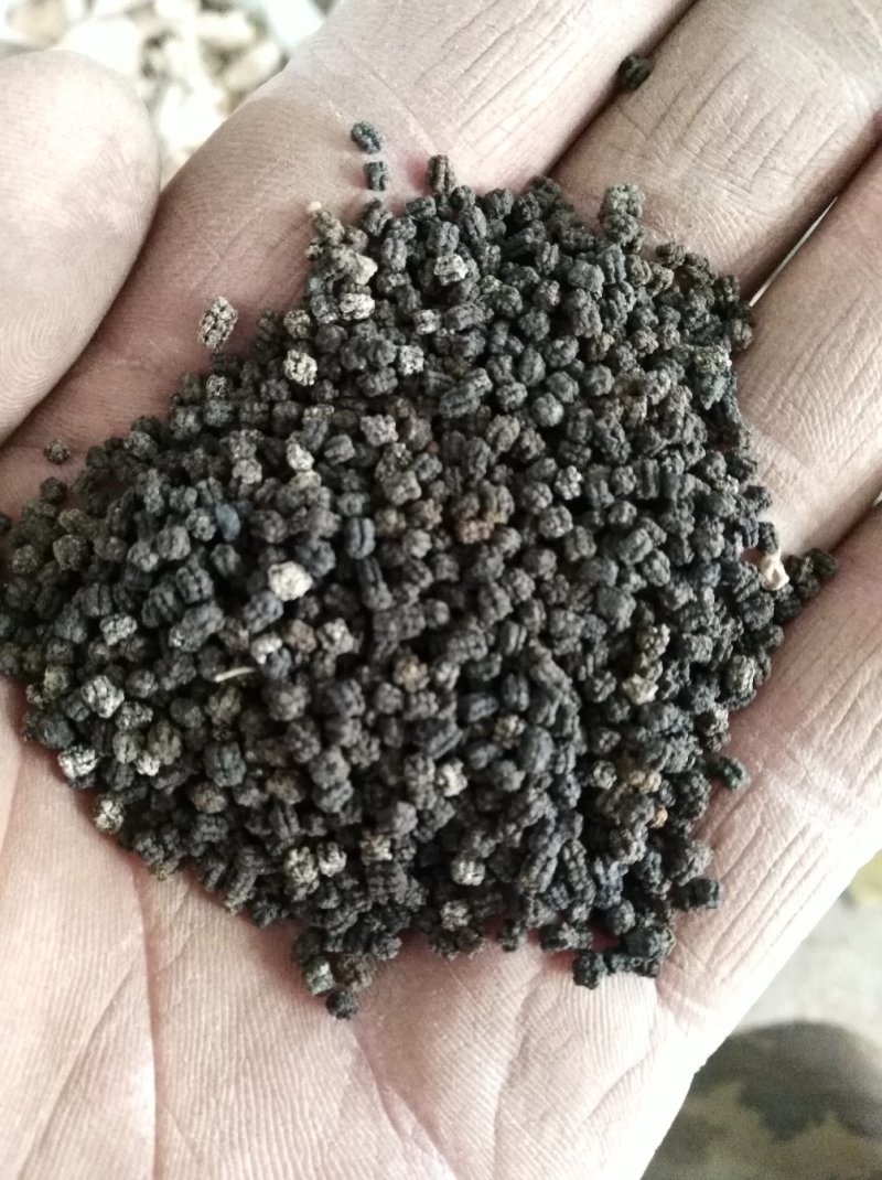 蚕沙蚕粪原蚕屎晚蚕沙山东产量大优惠