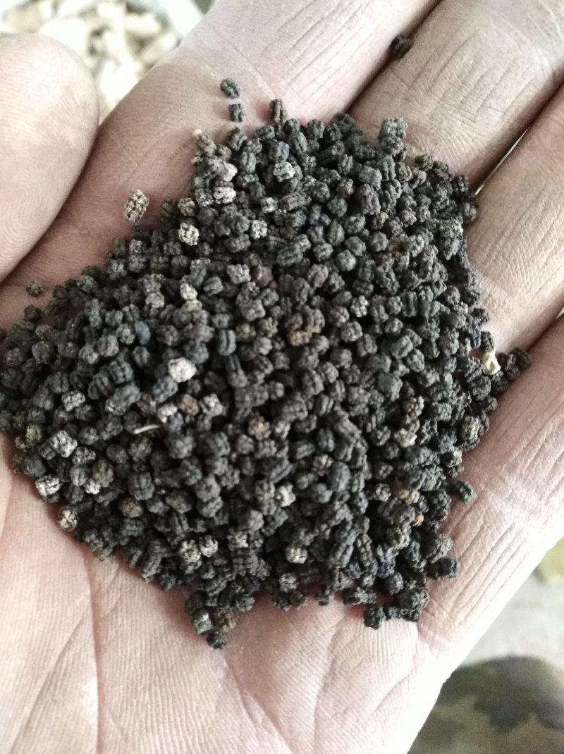 蚕沙蚕粪原蚕屎晚蚕沙山东产量大优惠