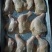 鸡腿块，排腿块，黄焖鸡块