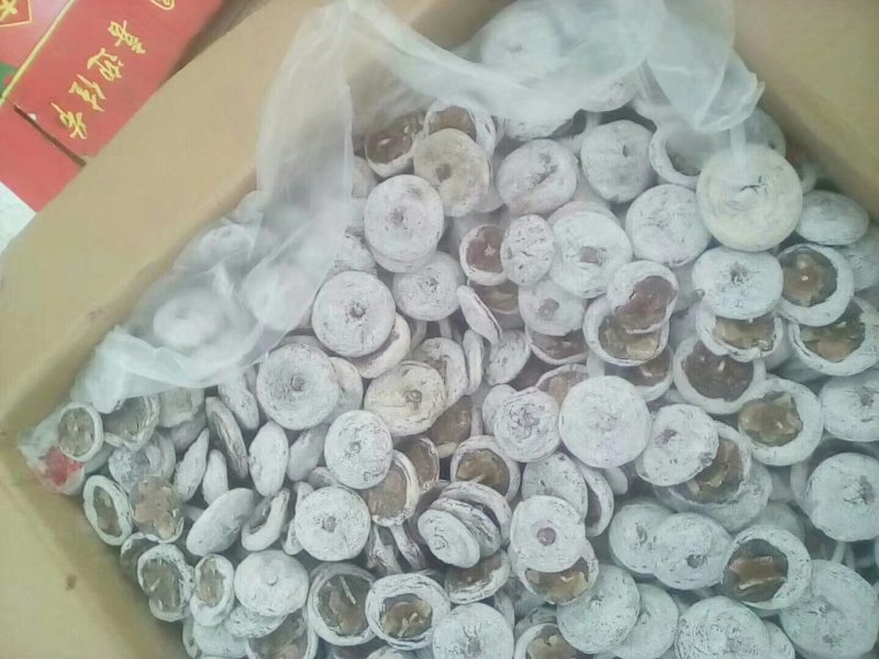 出售梨苗，梨树，车头梨，柿饼，