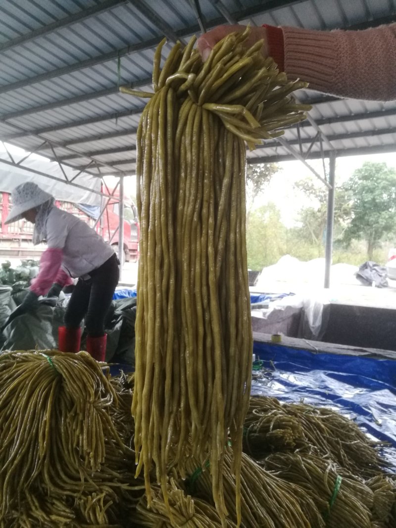 酸豆角50一70厘米，质优价廉。